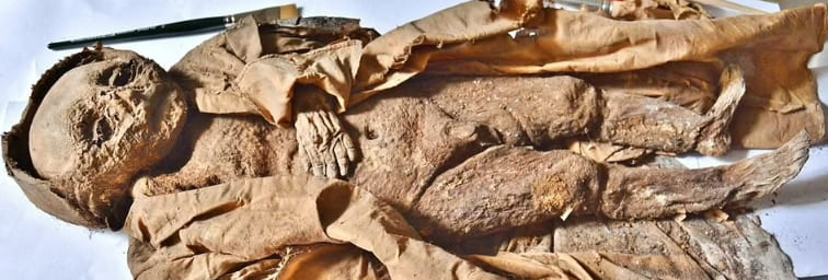 17세기 백작 아들로 밝혀진 미이라 Unravelling the mystery of Austria's mummified TODDLER