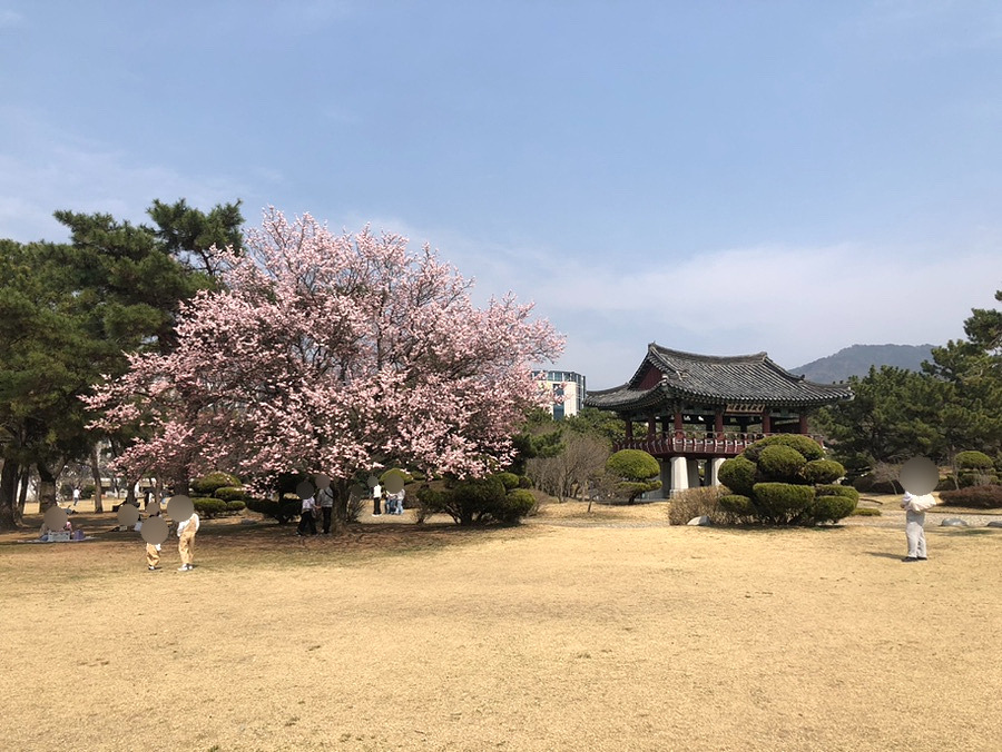 용지공원 이미지