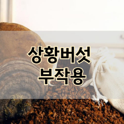 상황버섯 부작용