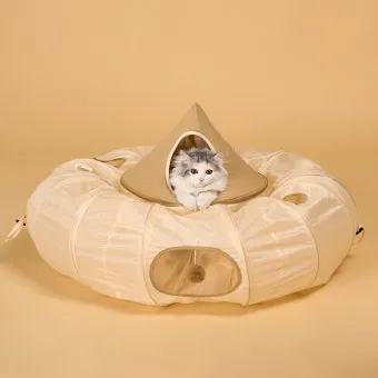 &amp;quot;고양이