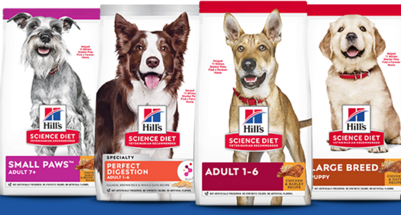 강아지 사료 추천 완벽 가이드 (가성비, 프리미엄, 건강식)