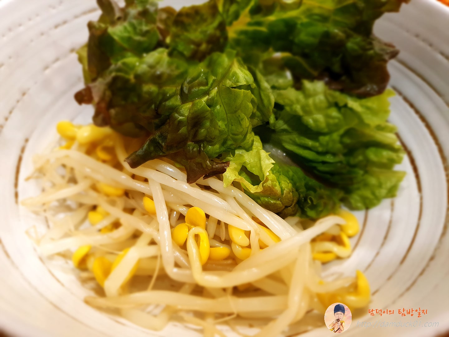 소반-콩나물-상추-담덕이의탐방일지