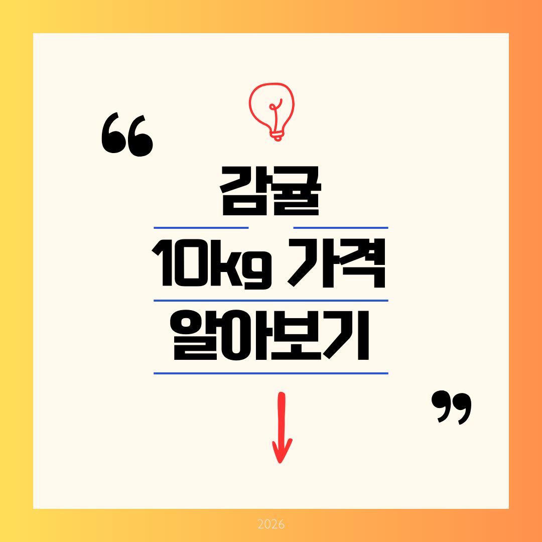 감귤 10kg 가격 알아보기