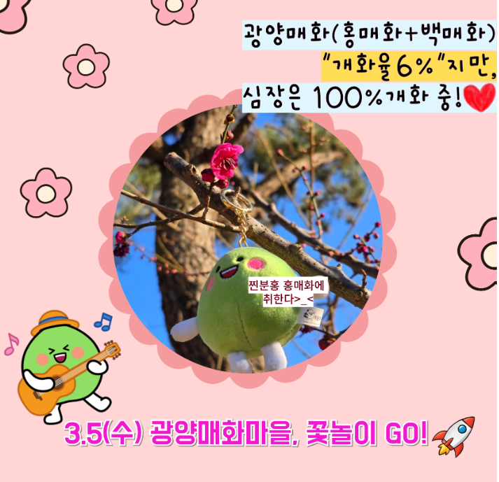 개화상황