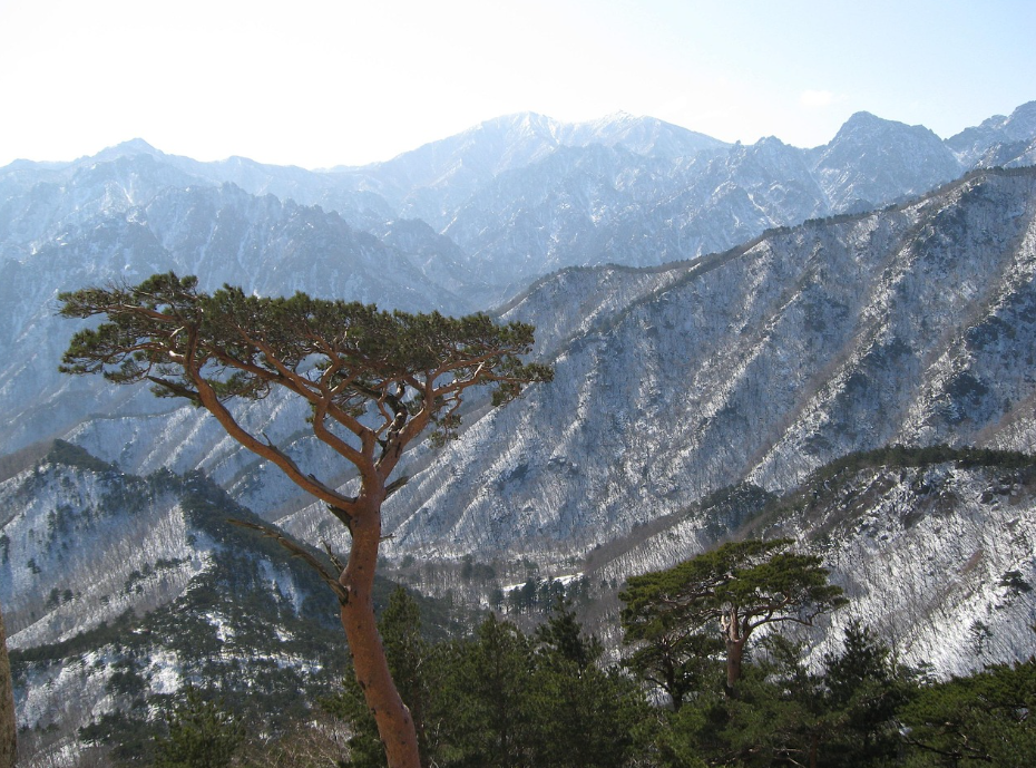 국내 여행지 관련 사진