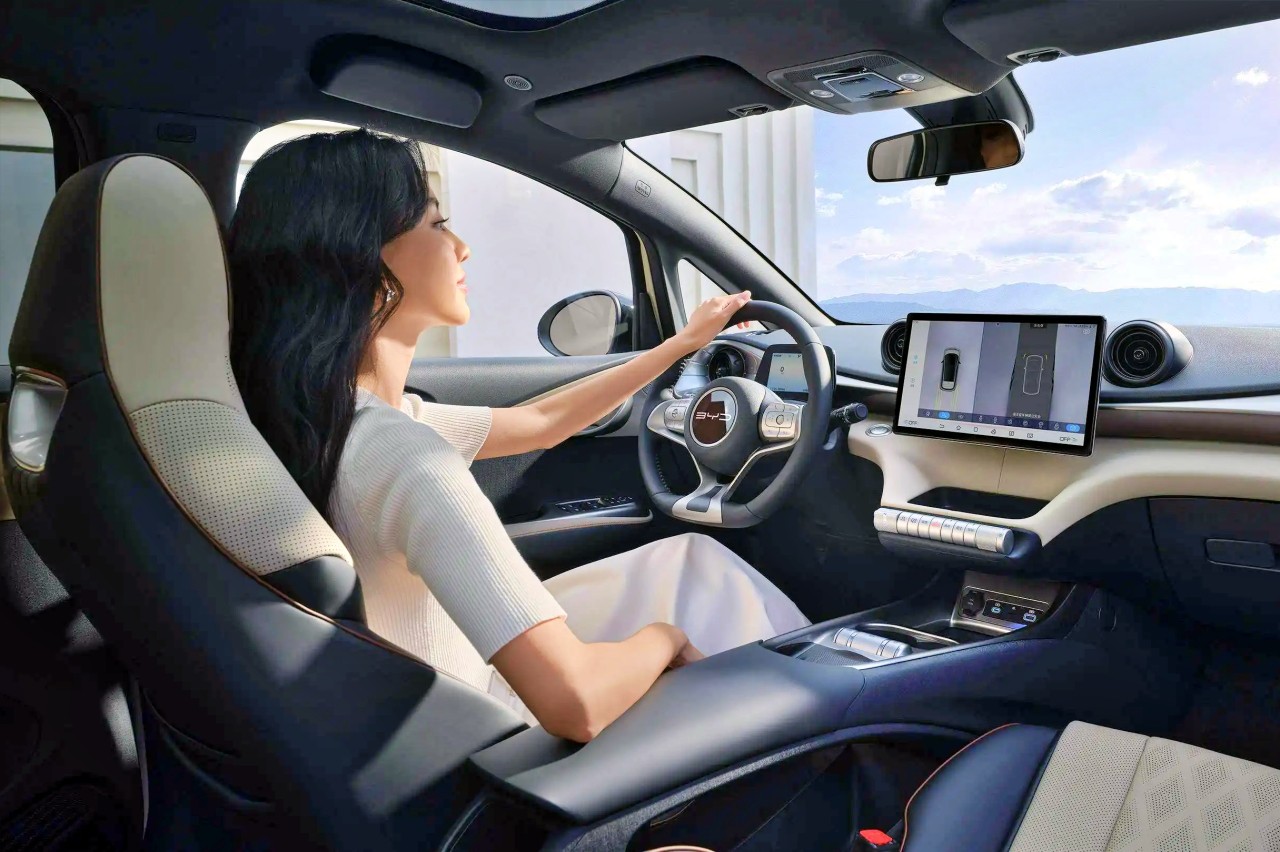 BYD 돌핀