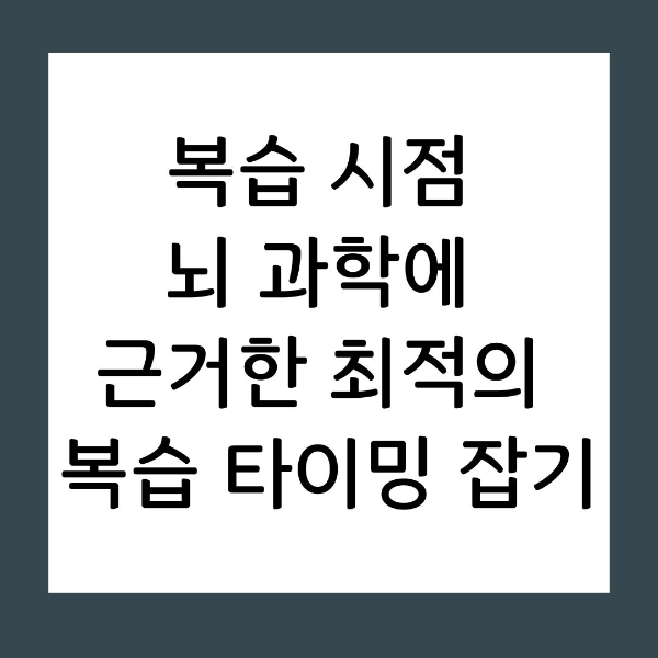 복습 시점 뇌 과학에 근거한 최적의 복습 타이밍 잡기