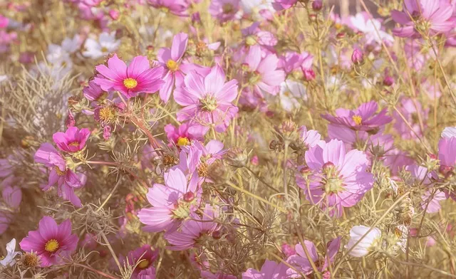 색욕의 악마 아스모데우스 정체와 상징 알아보기_6