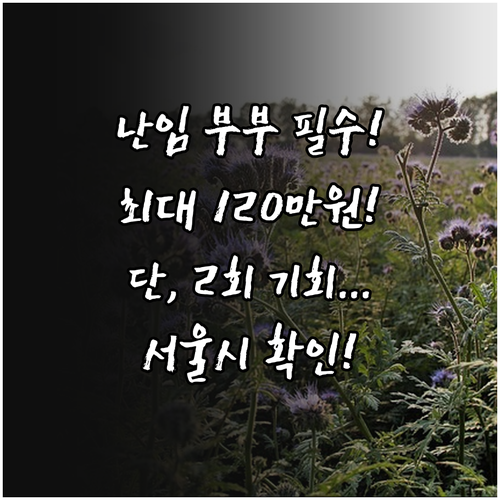 최대 2회 기회 2025 서울시 난임..