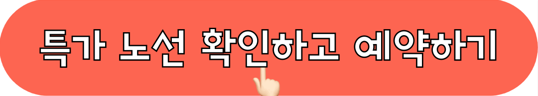 피치항공_특가노선_확인_예약하기