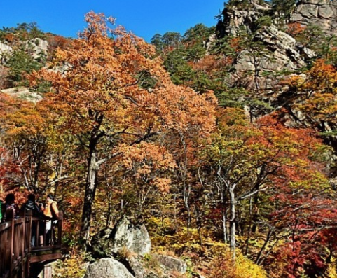 가을-여행하기-좋은-곳-추천