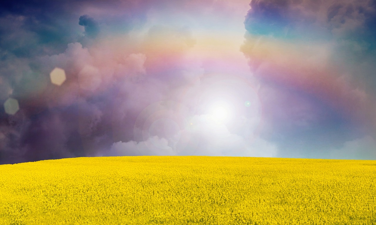 전남 섬여행 봄꽃 여행지 축제 베스트5