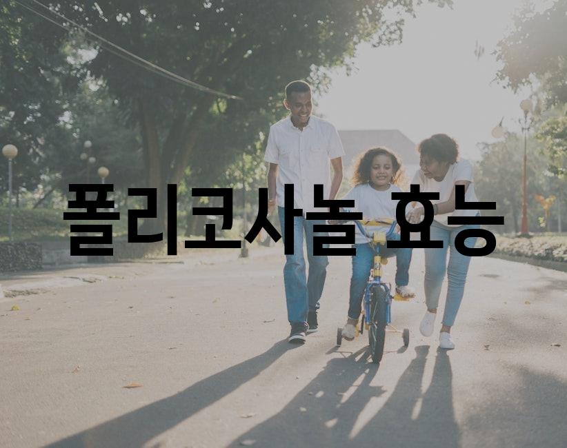 샘플 (26)