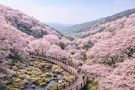 화담숲