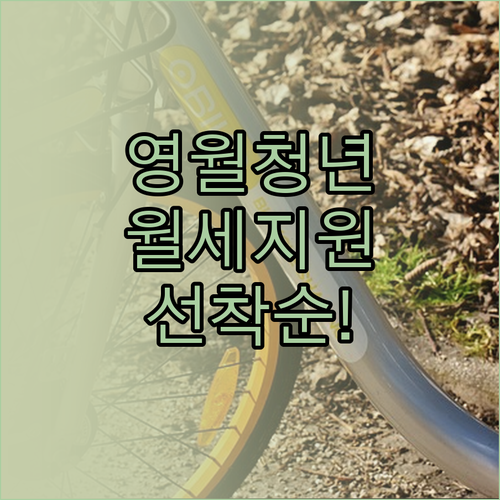 영월군 청년월세 지원 20명 선착순 ..