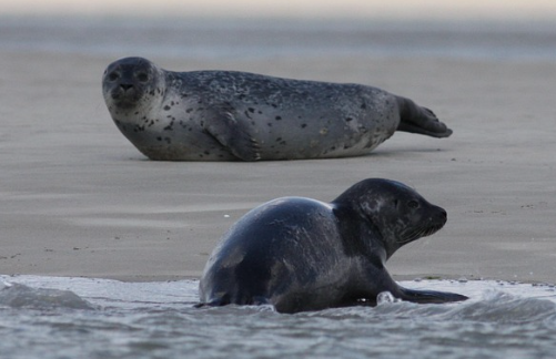 돈이 안 모이는 사람들의 공통점 관련 사진