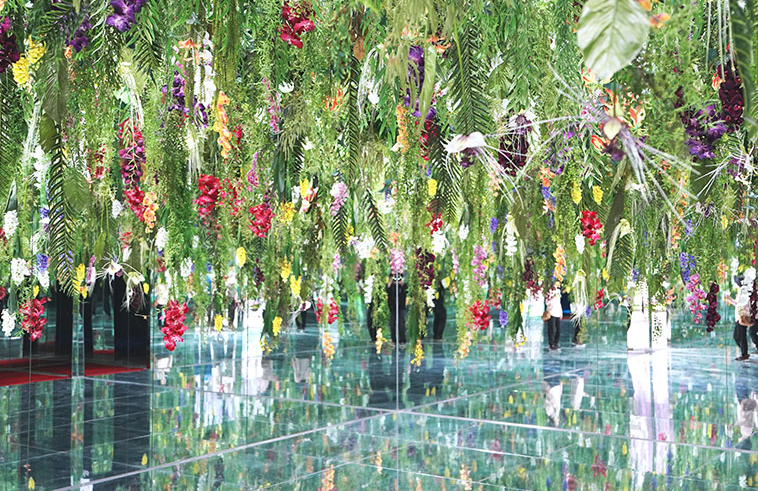 가평 베고니아새정원