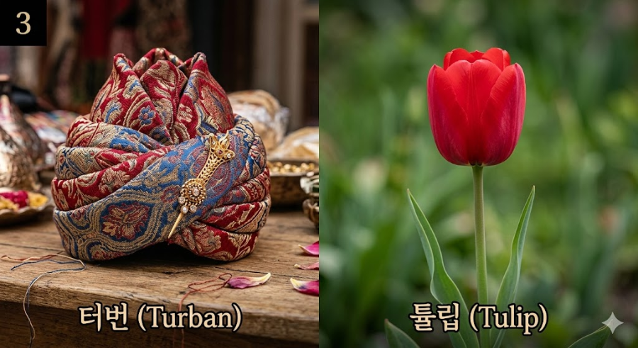 터번과 튤립