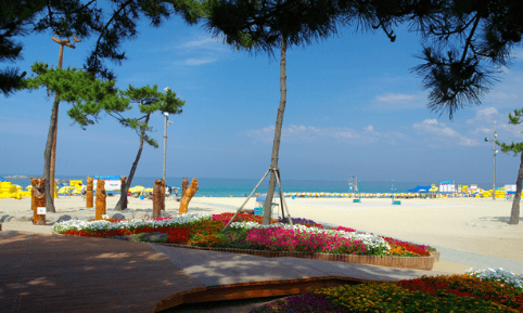 강원도 해돋이 명소 추천 Best 5 