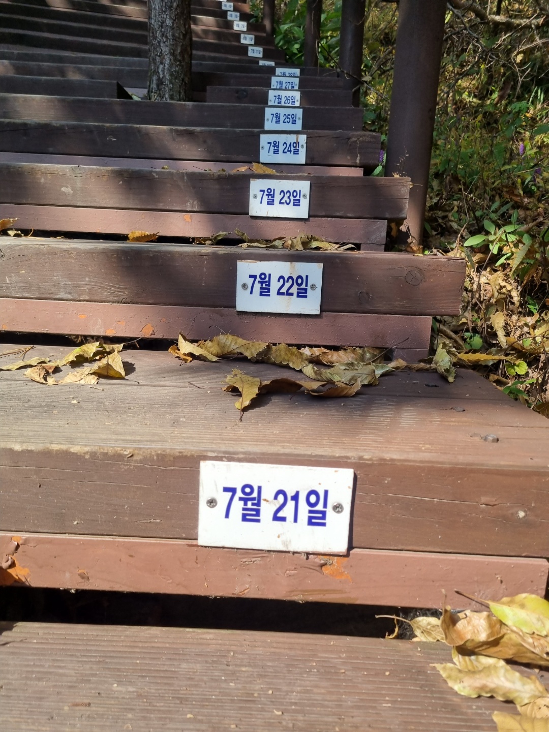 무학산