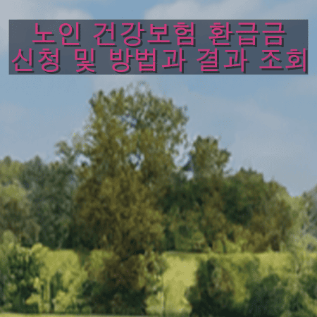 노인 건강보험 환급금 신청 및 방법과 결과 조회