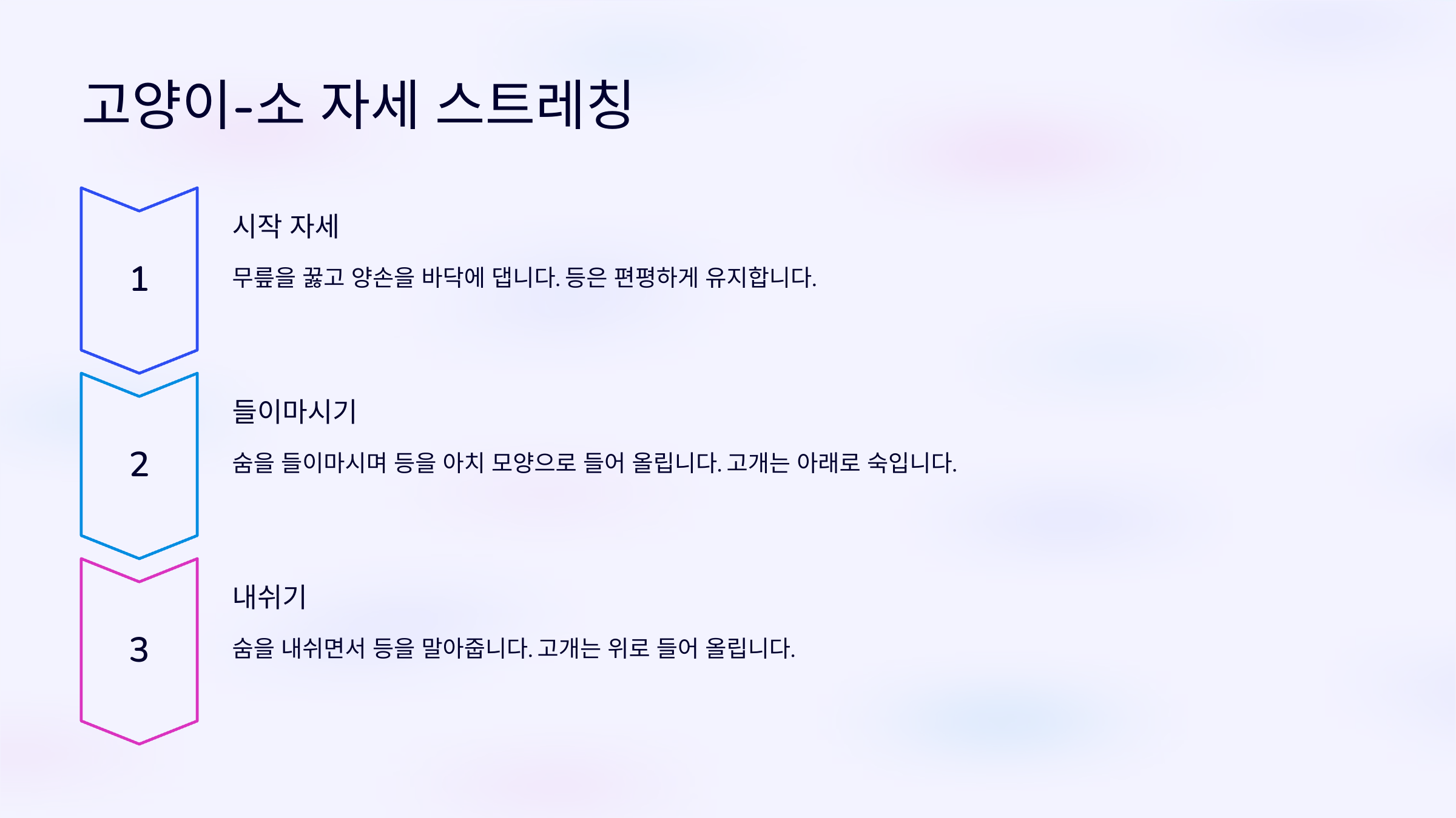 고양이-소 자세 스트레칭