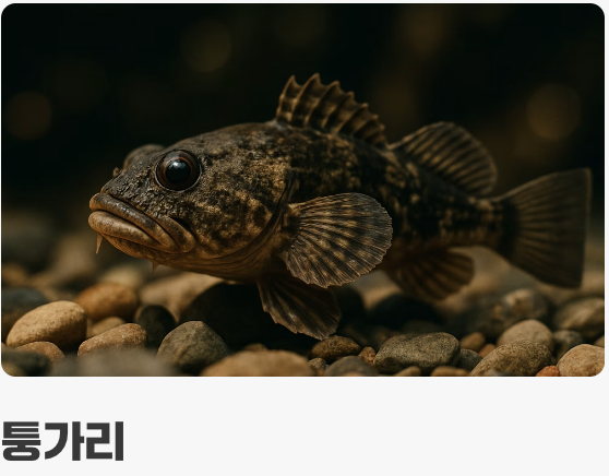 꼬리지느러미 속에 숨겨진 신분증