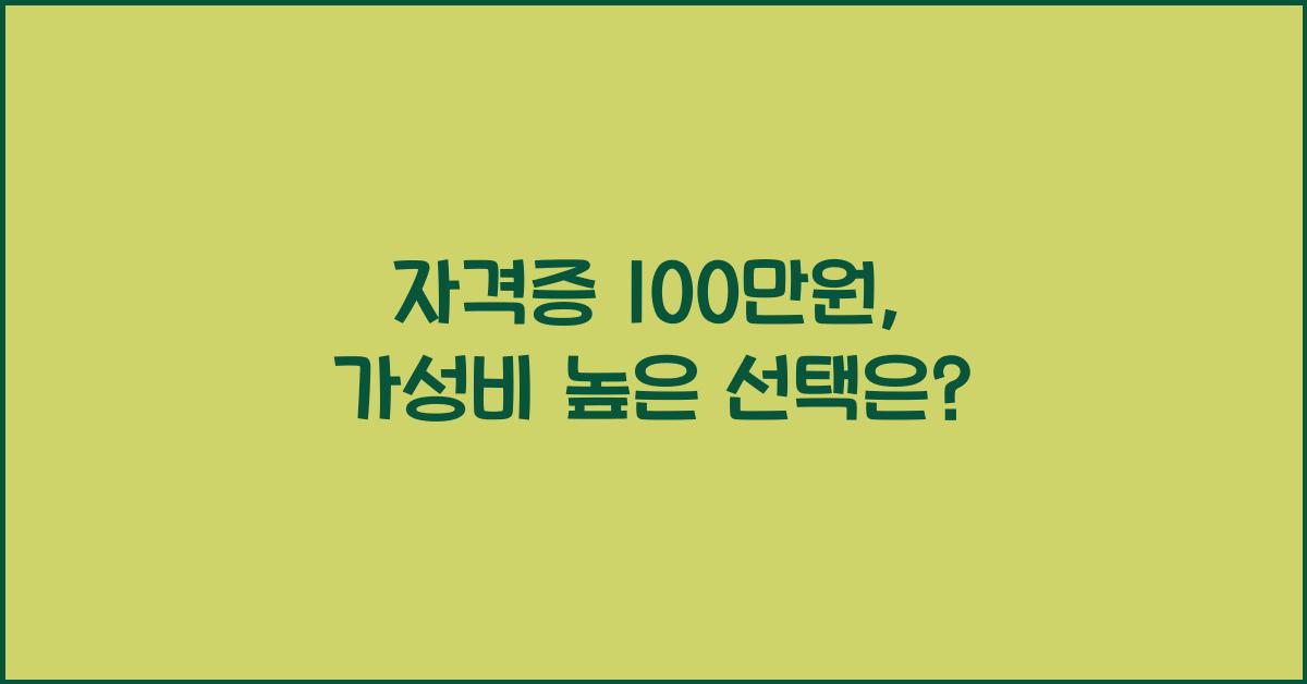 자격증 100만원