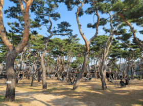 출처: 소울로스터리