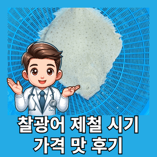 찰광어 시기 제철 찰광어 맛 후기 가격 효능 부작용