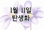 이 이미지를 클릭 하시면 1월 11일의 탄생화에 대한 포스팅으로 이동됩니다.
