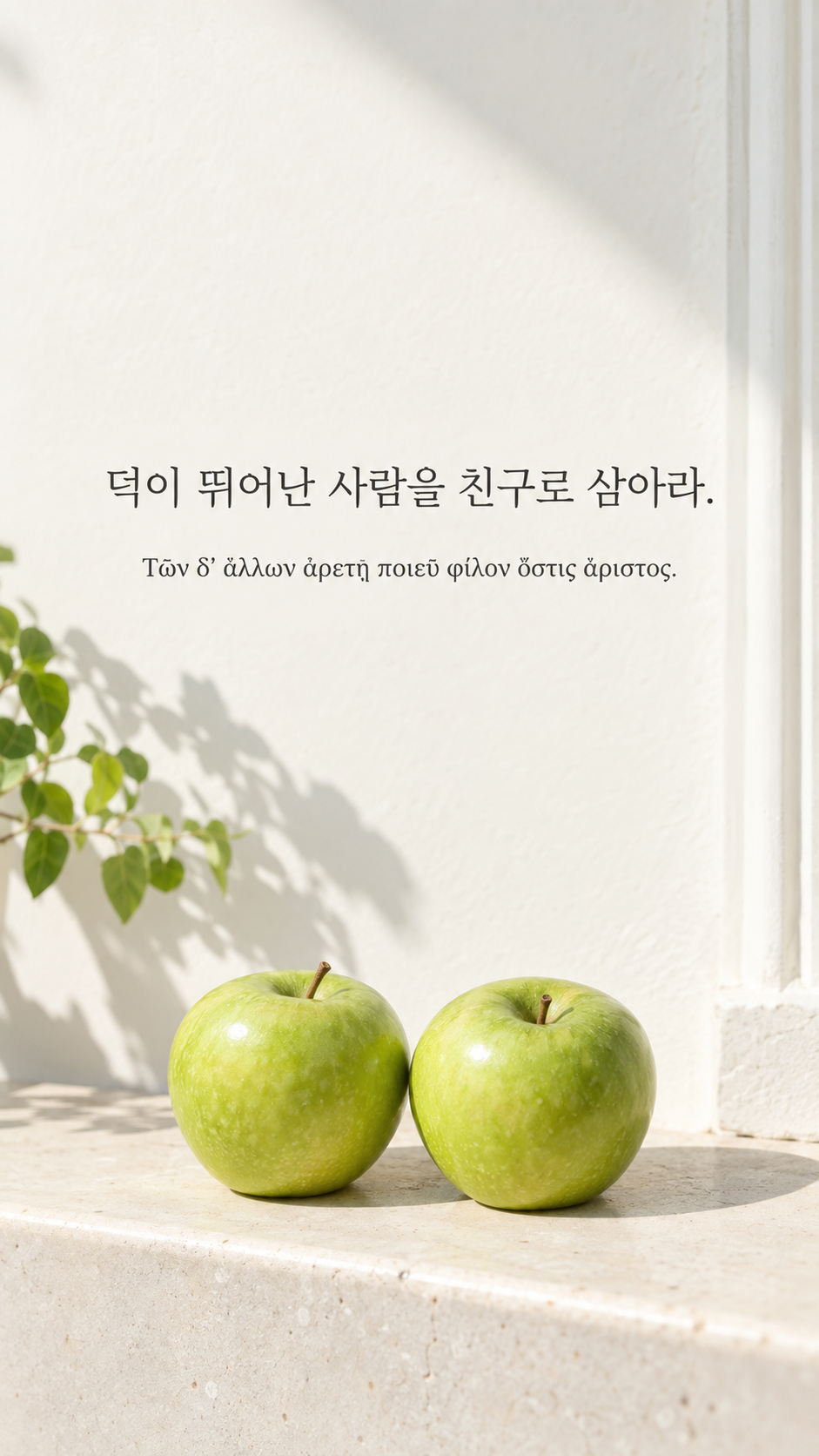 피타고라스 전통 황금시 2 덕이 뛰어난 사람을 친구로 삼아라. 밝은 벽 앞에 나란히 놓인 초록 사과 두 개 배경의 한글&middot;그리스어 세로 이미지