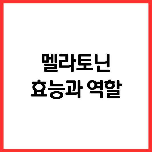 멜라토닌-효능과-역할