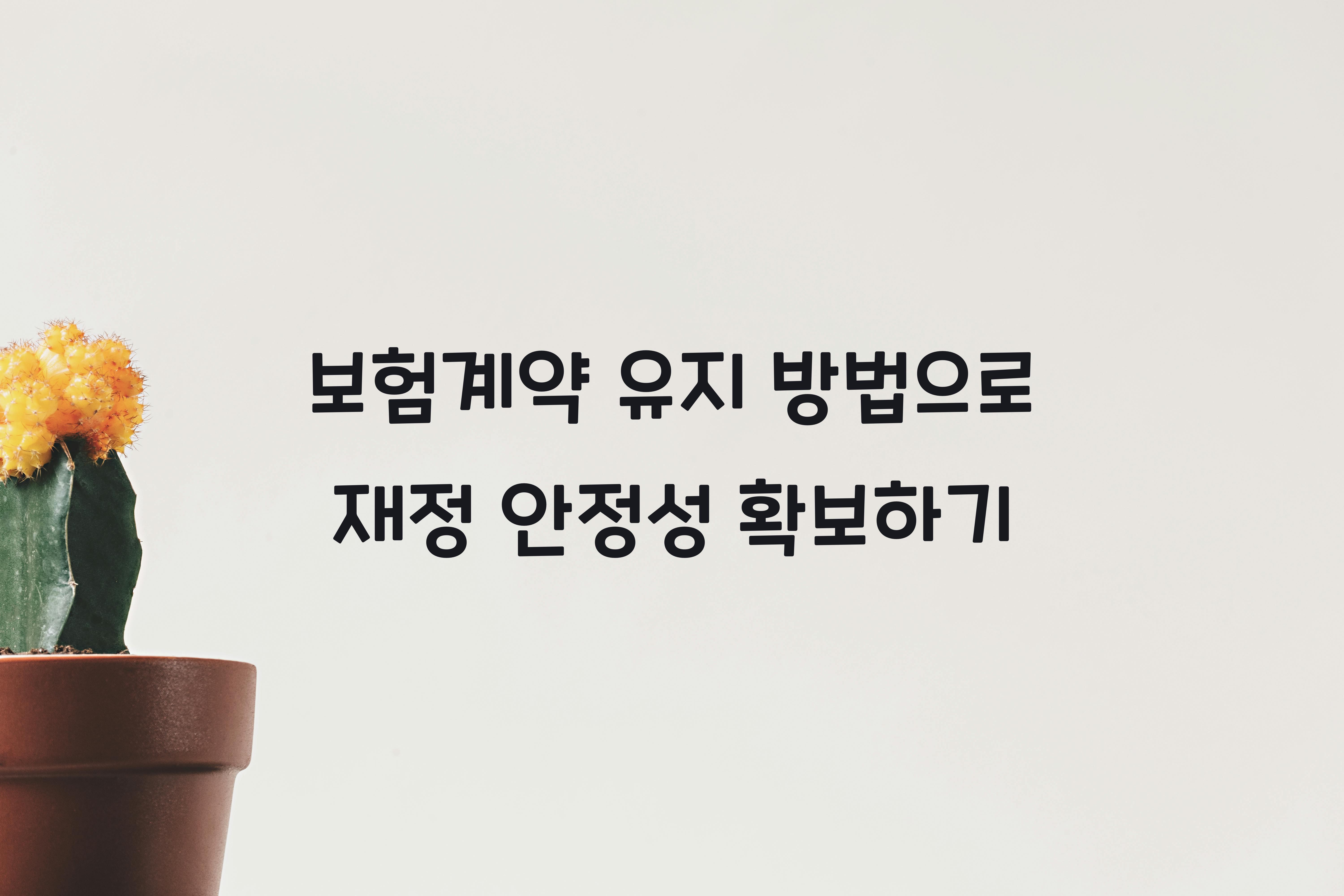 보험계약 유지 방법