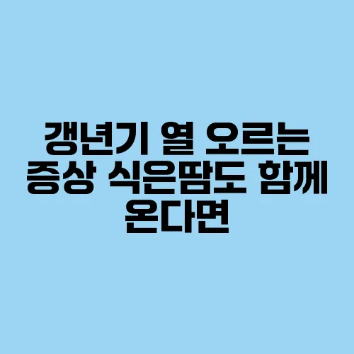 갱년기 열 오르는 증상 식은땀도 함께 온다면