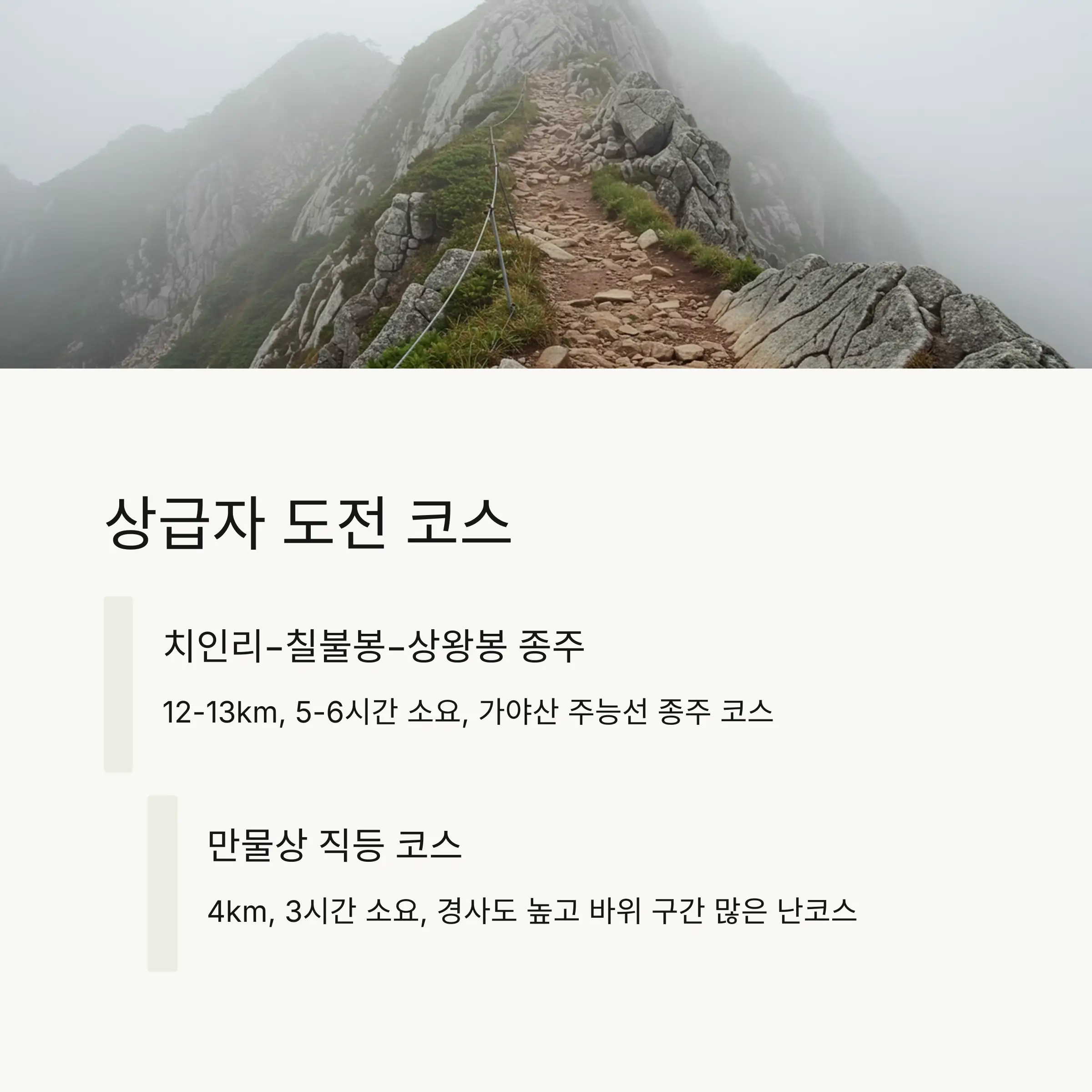 🎯 상급자 도전 코스