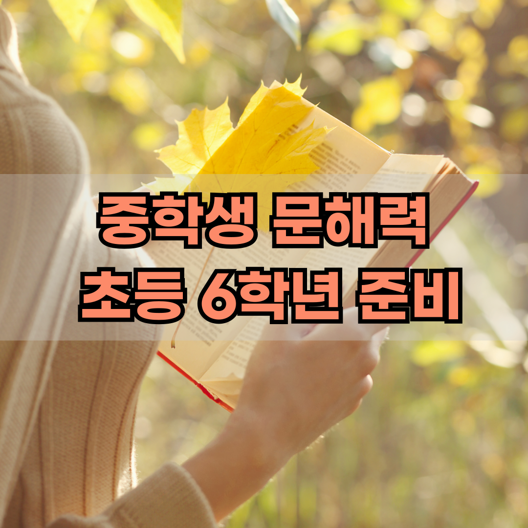 중학생 문해력