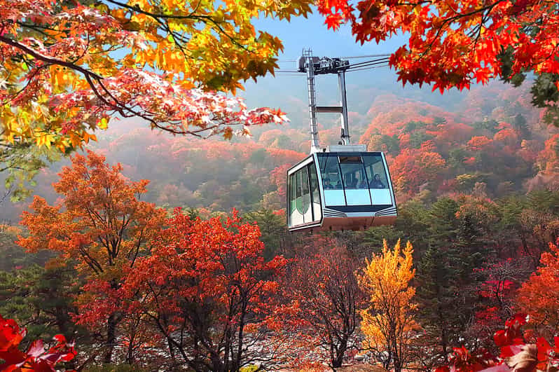 설악산 단풍 추천 트레킹 코스