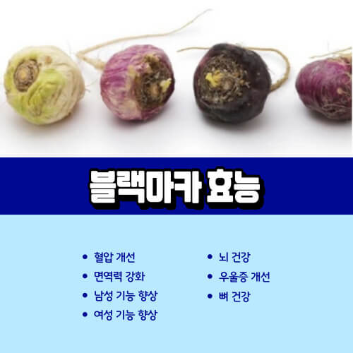 블랙마카_효능