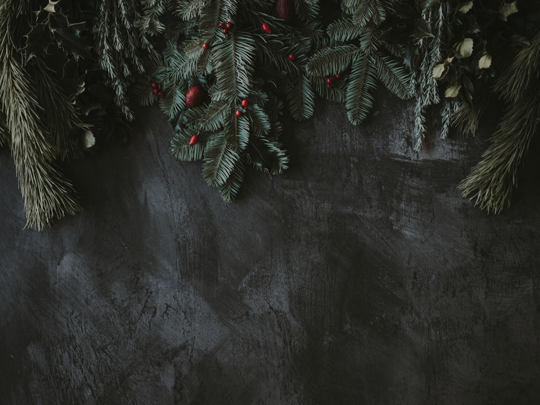 Festive