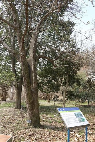 나무 의사 자격증