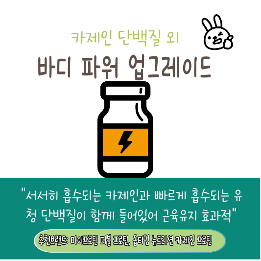 근육증가(벌크업) 단백질 보충제 추천