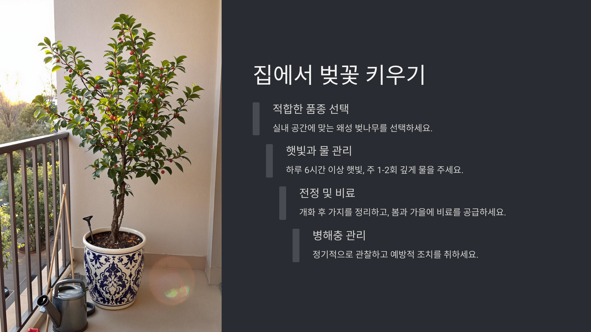 벚꽃 개화 시기 명소 추천 2025