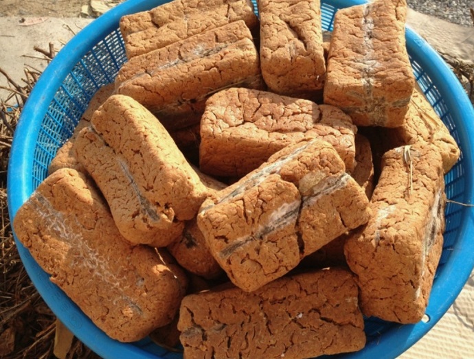 이평강-메주모자