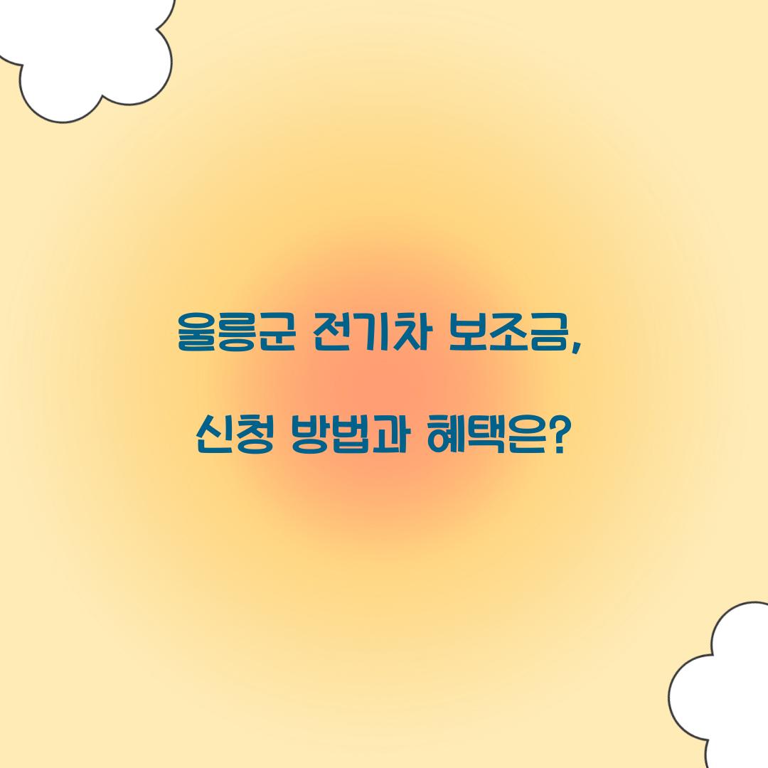 울릉군 전기차 보조금