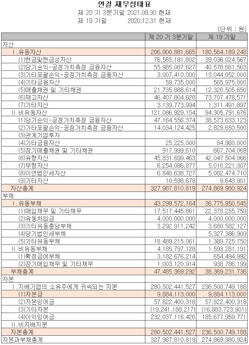 주식회사 테스 재무상태표 (2021년 3분기)