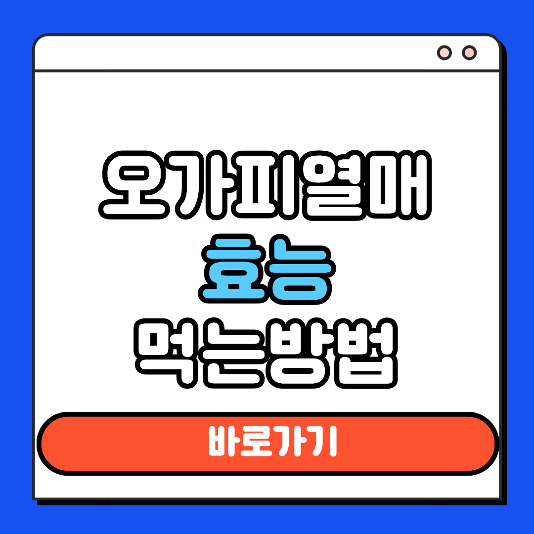 오가피열매 효능