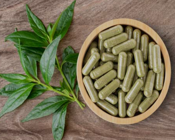 천심련 복용 - 알약 형태