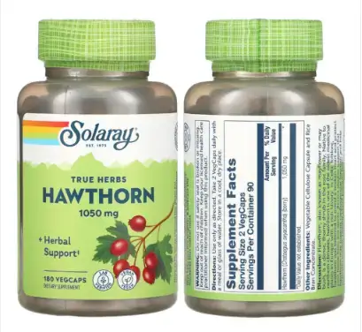 심부전증에-좋은약초-산사나무추출물