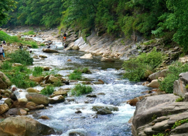 충청북도 여름 여행